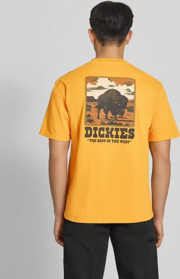 Dickies T-shirt Korte Mouw Darrtown ss tee