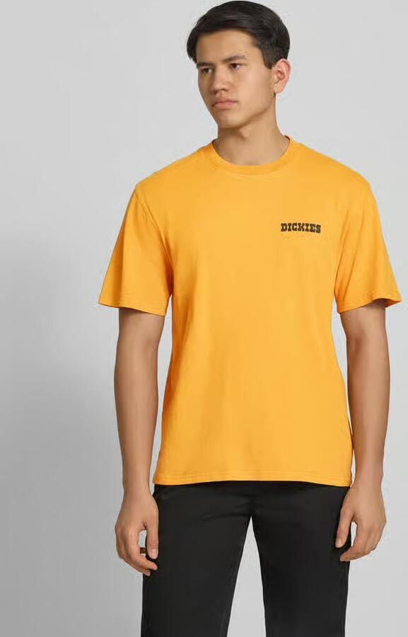 Dickies T-shirt Korte Mouw Darrtown ss tee - Foto 4