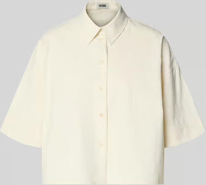 Drykorn Boxy fit blouse met 1 2-mouw model 'YARIKA' - Foto 2