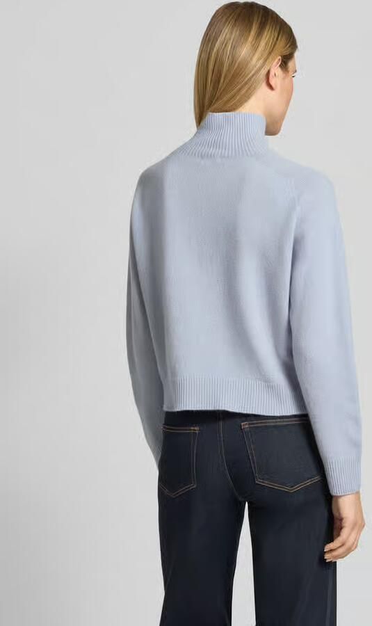 Drykorn Gebreide pullover met opstaande kraag