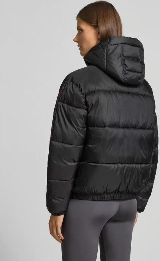 EA7 Emporio Armani Gewatteerd jack met labelpatch