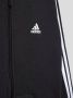Adidas Sportswear Essentials 3-Stripes Fleece Ritshoodie - Thumbnail 10