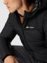 Champion Outdoor Hooded Jacket Pufferjassen Kleding nbk nbk maat: M beschikbare maaten:S M L XL - Thumbnail 7