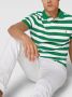 Polo Ralph Lauren Groen Gestreept Poloshirt Korte Mouw Multicolor Heren - Thumbnail 2