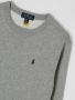 Polo Ralph Lauren Teens Sweatshirt in gemêleerde look met labelstitching - Thumbnail 3