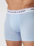 Polo Ralph Lauren Underwear Boxershort met elastische band met logo model 'BOXER BRIEF-3 PACK' - Thumbnail 6