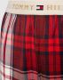 Tommy Hilfiger Underwear Pyjamabroek FLANNEL PANT met rechte pijpen - Thumbnail 2