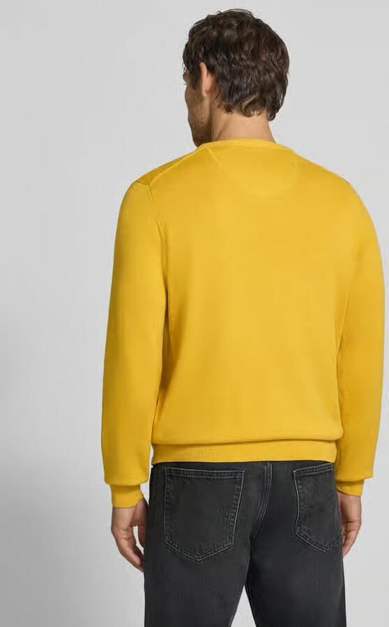 FYNCH-HATTON Gebreide pullover met label-borduursel - Foto 3