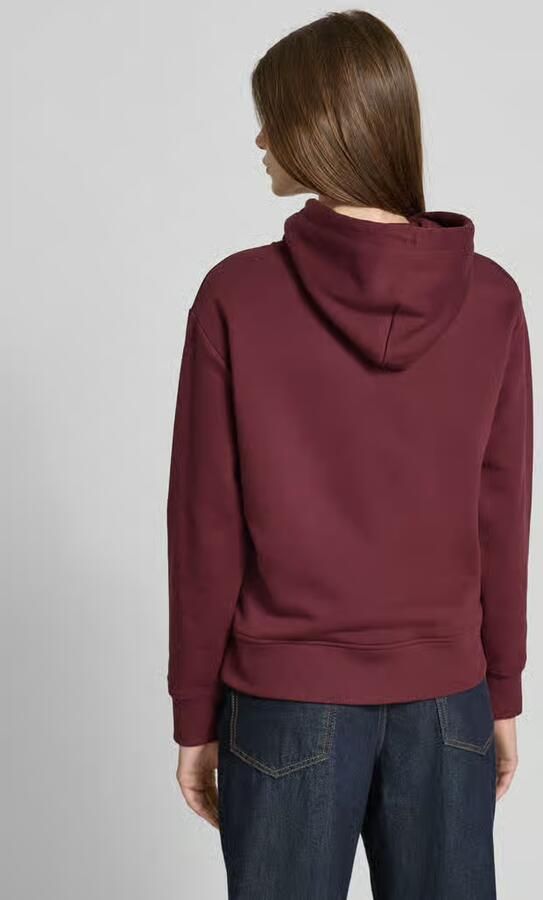 Gant Hoodie ARCHIVE SHIELD HOODIE Met een capuchon voorzien van rijgkoord