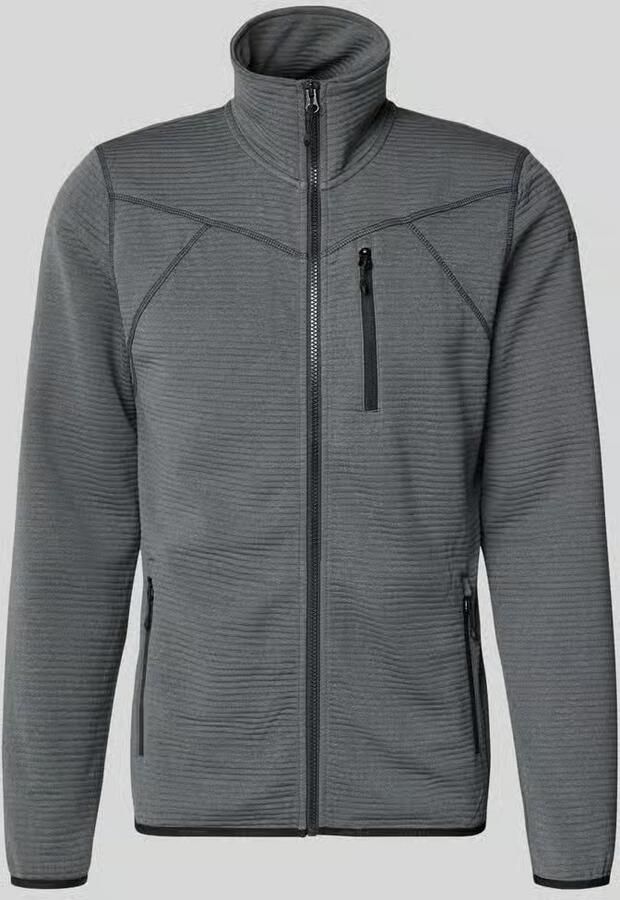 Icepeak Regular fit Fleecejack met opstaande kraag Model 'Berthold' - Foto 2