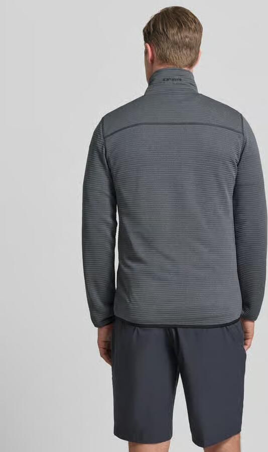 Icepeak Regular fit Fleecejack met opstaande kraag Model 'Berthold'