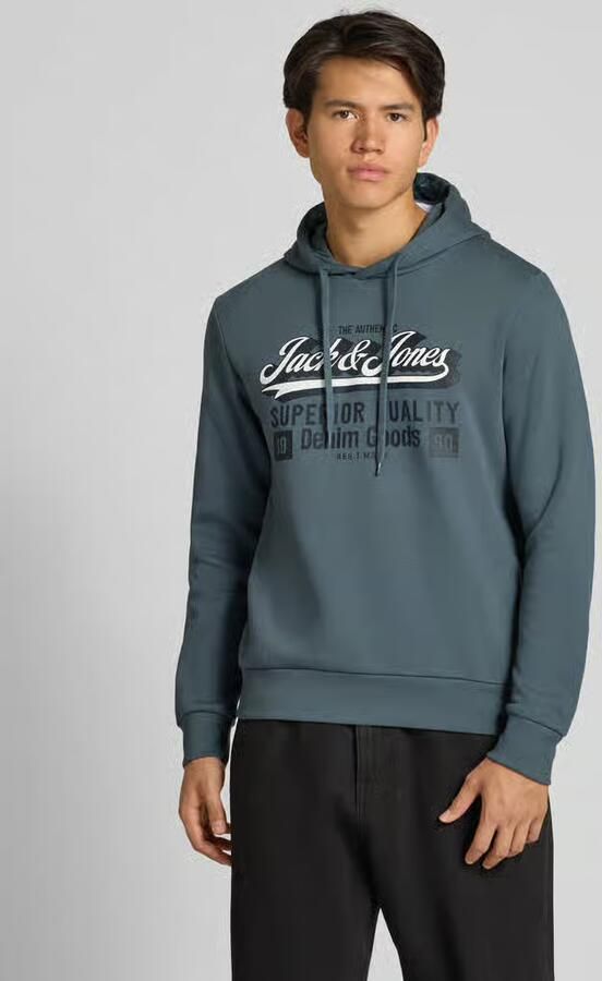 Jack & Jones Hoodie JJELOGO SWEAT HOOD 2 COL 25 26 NOOS - Foto 9