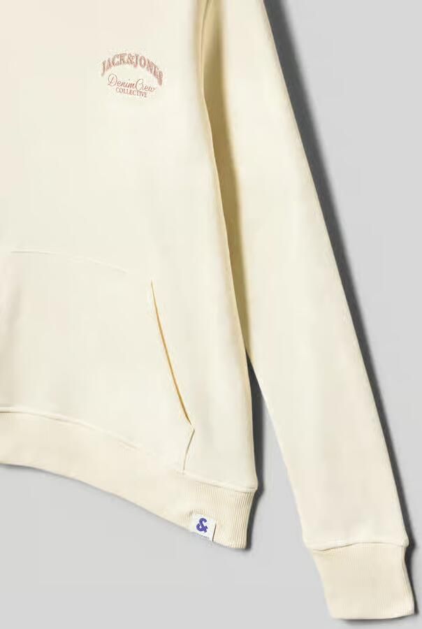 Jack & Jones Junior Hoodie JJEBRANDES BACKP RELAXED SWEAT H SN JNR - Foto 10