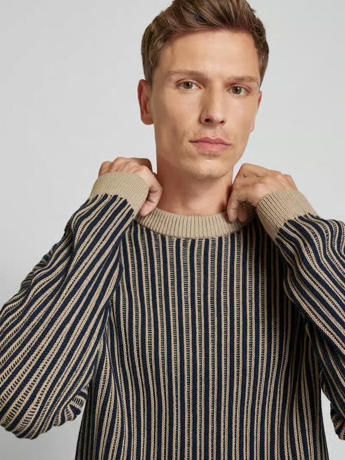 JAKE*S STUDIO MEN Gebreide pullover met ronde hals