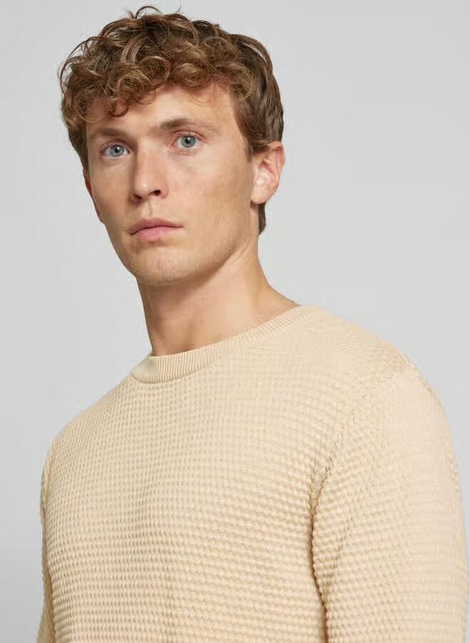 Knowledge Cotton Apparel Gebreide pullover met structuurmotief model 'VAGN'