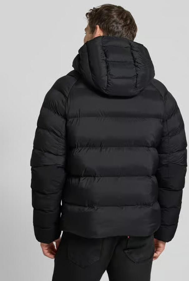 Napapijri Regular fit gewatteerd jack met logopatch model 'MOESA'