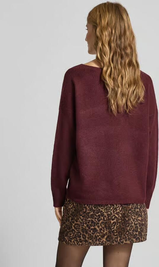 Only Trui met V-hals ONLRICA LIFE L S V-NECK PULLO KNT NOOS