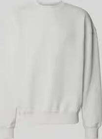 PEGADOR Oversized fit sweatshirt met logo-stitching model 'Tate'