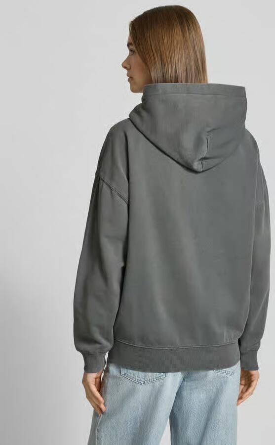 Pegador Clarita Logo Oversized Hoodie Hoodies & Sweaters in grijs formaten: XS