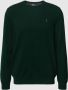 Polo Ralph Lauren Groene Sweaters LS CN Pp-Long Sleeve-Pullover Groen Heren - Thumbnail 2