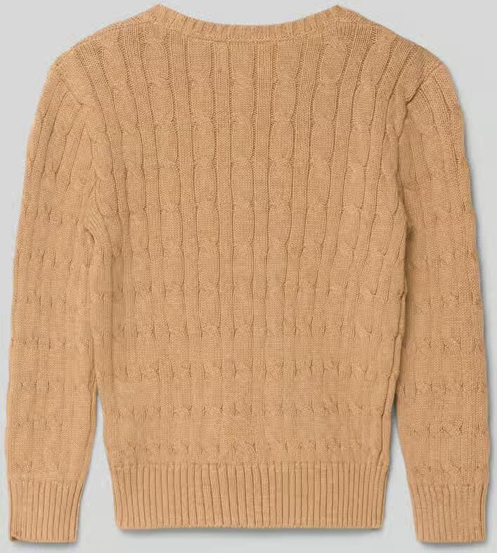 Polo Ralph Lauren Kids Gebreide pullover met kabelpatroon en labelstitching