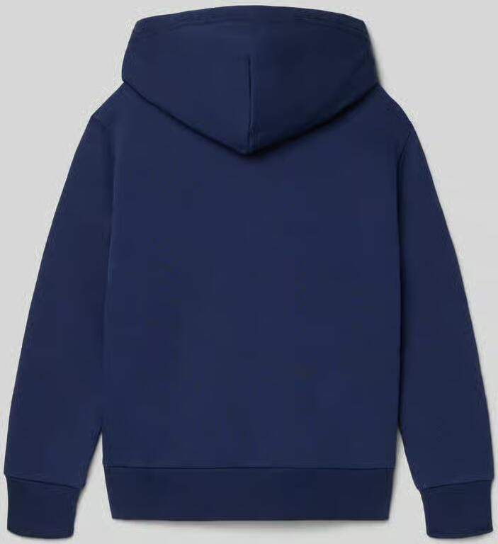 Polo Ralph Lauren Kids regular fit hoodie van katoenmix