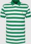 Polo Ralph Lauren Groen Gestreept Poloshirt Korte Mouw Multicolor Heren - Thumbnail 1
