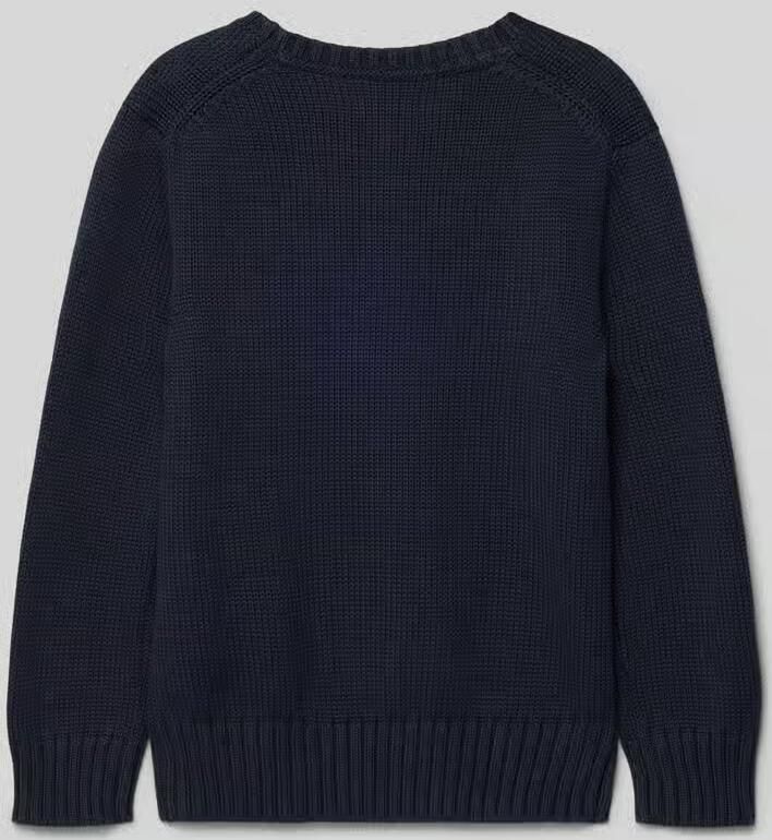 Polo Ralph Lauren Teens Gebreide pullover met labelstitching