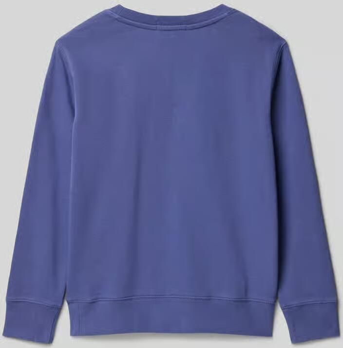 Polo Ralph Lauren Teens Sweatshirt met labelstitching