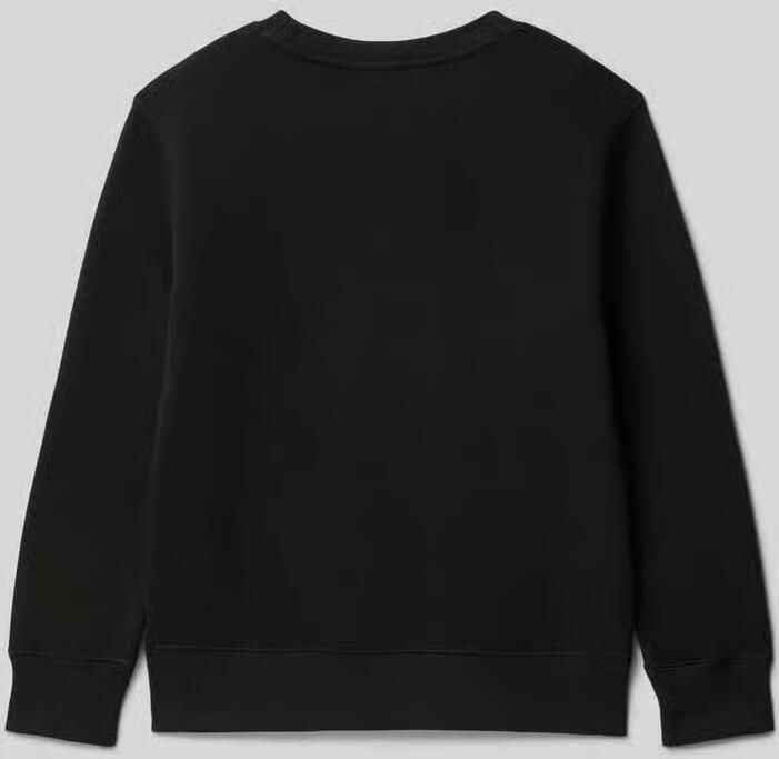 Polo Ralph Lauren Sweaters LONG SLEEVE CREWNECK SWEATSHIRT