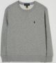 Polo Ralph Lauren Teens Sweatshirt in gemêleerde look met labelstitching - Thumbnail 1