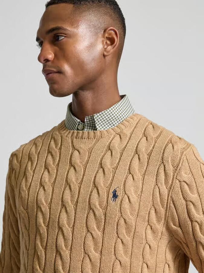 Ralph Lauren Bruine Sweater van Kasjmier en Wol met Iconisch Pony Logo Brown Heren - Foto 5