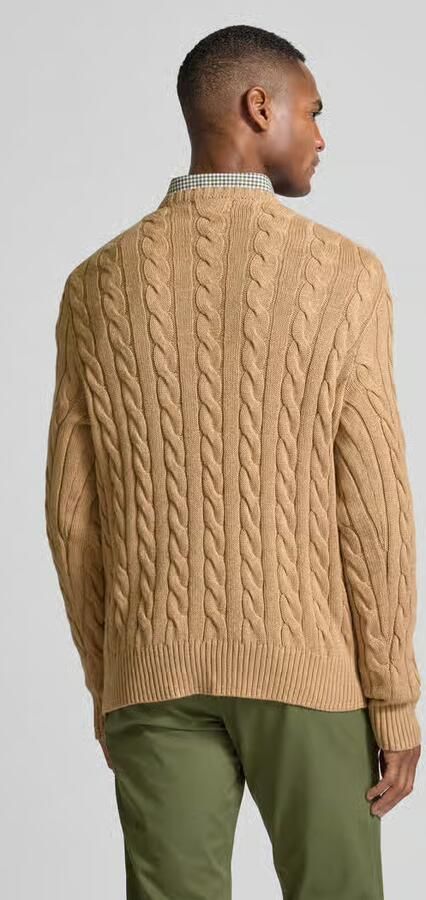 Ralph Lauren Bruine Sweater van Kasjmier en Wol met Iconisch Pony Logo Brown Heren - Foto 15