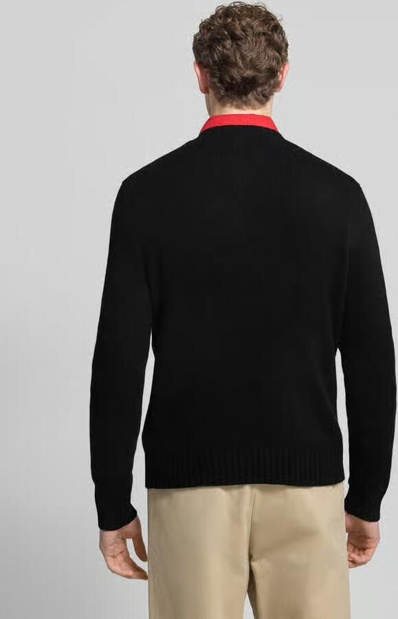 Polo Ralph Lauren Gebreide pullover van wol met motief