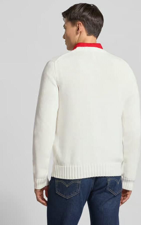 Polo Ralph Lauren regular fit pullover van puur katoen
