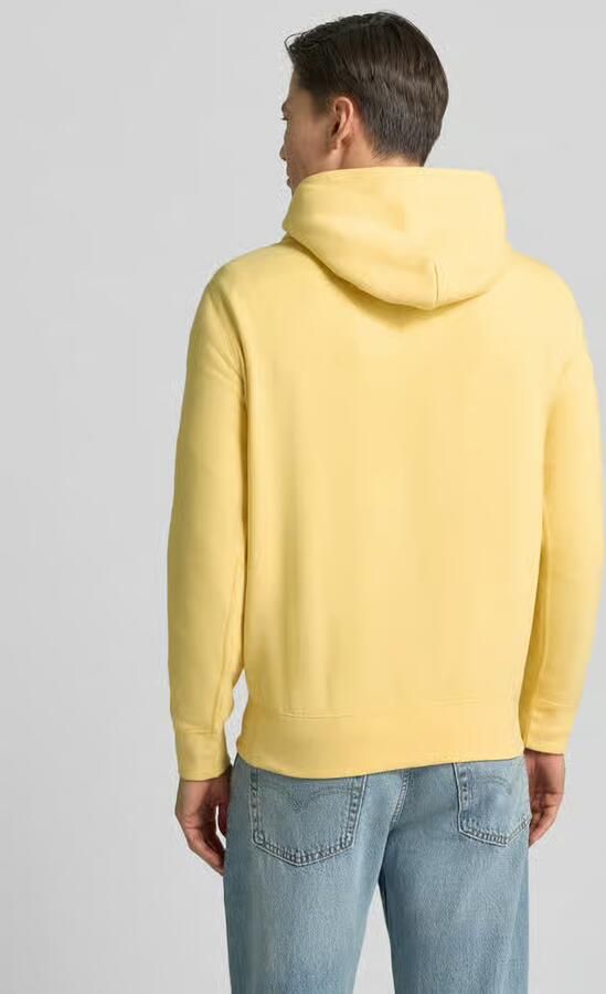 Polo Ralph Lauren Hoodie met labelstitching