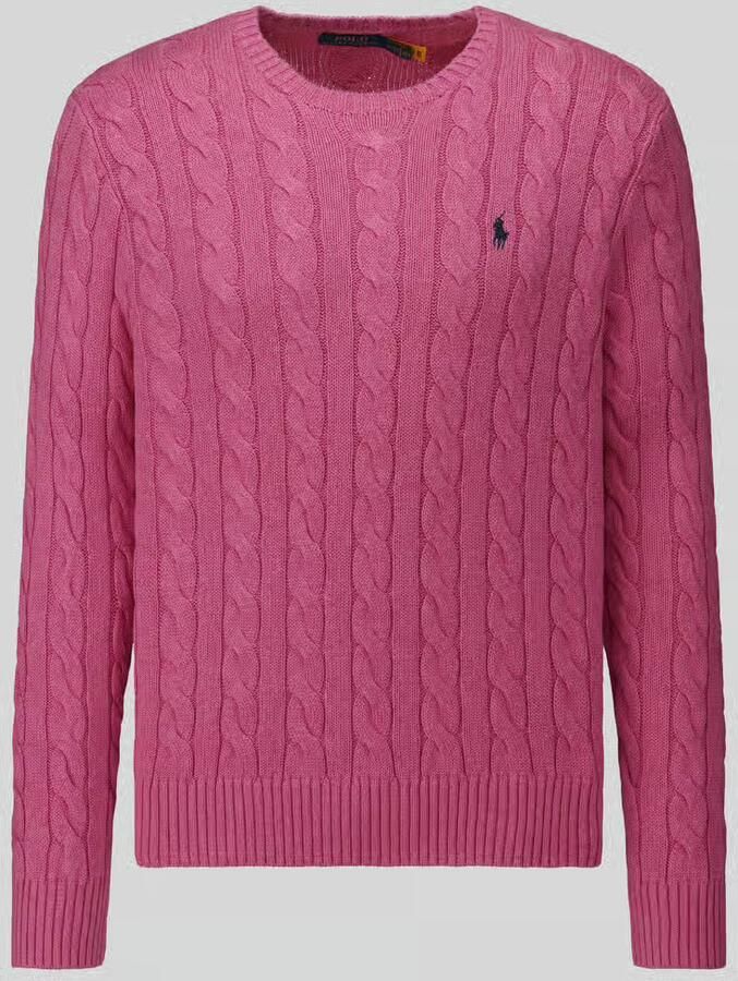 Polo Ralph Lauren Pullover met gestikt logo