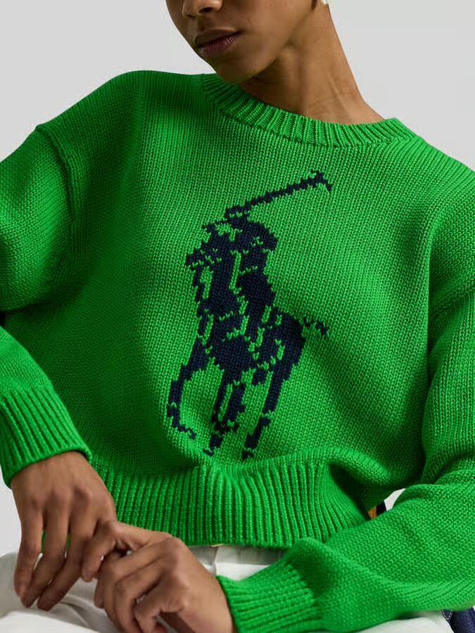 Polo Ralph Lauren Regular Fit gebreide trui van puur katoen