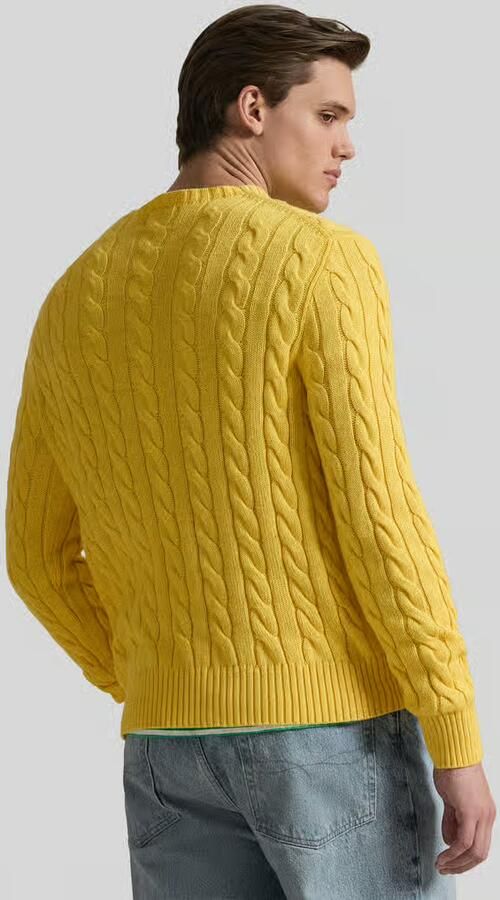 Polo Ralph Lauren Regular Fit gebreide trui van puur katoen