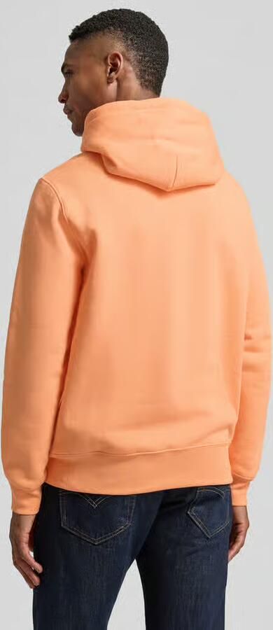 Polo Ralph Lauren regular fit hoodie van katoenmix - Foto 4