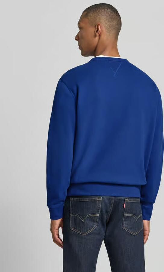 Polo Ralph Lauren Sweaters SWEAT COL ROND MOLTONE EN COTON