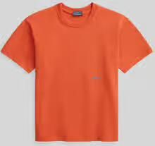 Polo Ralph Lauren Regular fit T-shirt van puur katoen