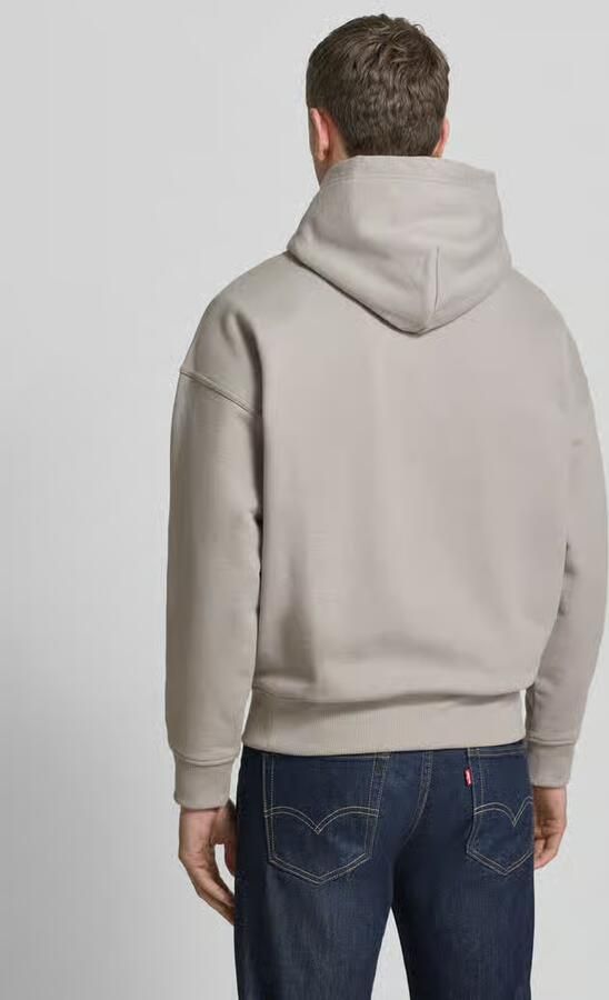 Polo Ralph Lauren Relaxed fit hoodie met labelstitching en kangoeroezak
