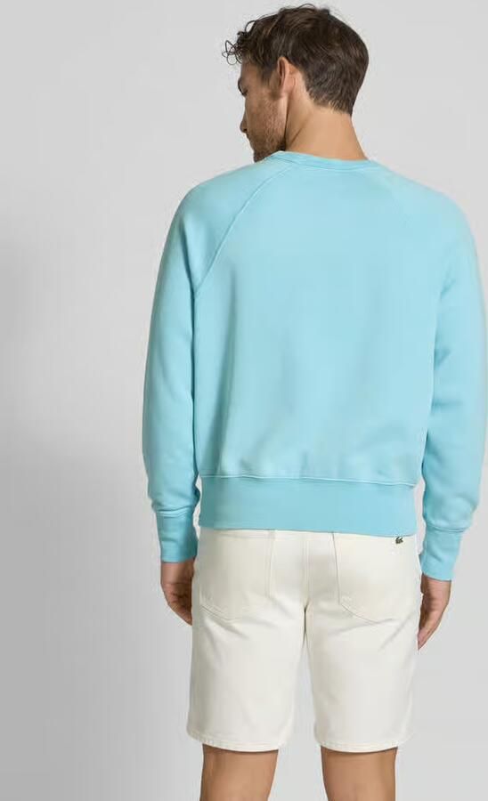 Polo Ralph Lauren Sweatshirt met labelprint