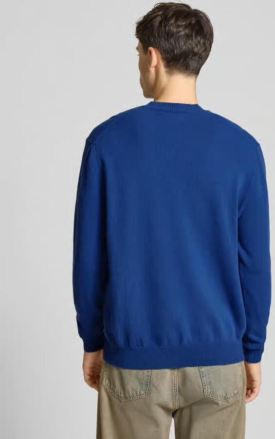 Replay Gebreide pullover van mix van lanawol met ronde hals