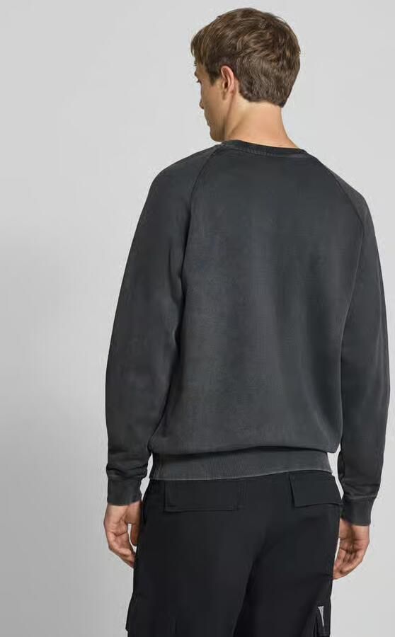 Replay Regular fit sweatshirt van pure katoen model 'Plush' - Foto 2