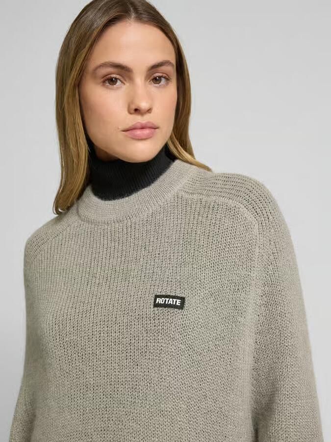 Rotate Birger Christensen Gezellig Oversized Gebreide Trui Gray Dames