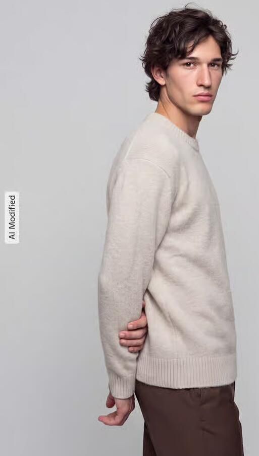 SELECTED MEN Heren Truien & Vesten Slhalex Ls Knit Crew Neck Noos Ecru - Foto 8