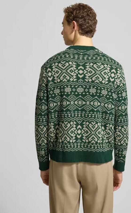 SELECTED MEN Heren Truien & Vesten Slhholger Ls Knit Jaquard Crew Neck Multi - Foto 5