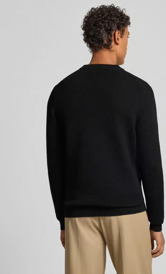 SELECTED HOMME Trui met ronde hals SLHDANE LS KNIT STRUCTURE CREW NECK NOOS